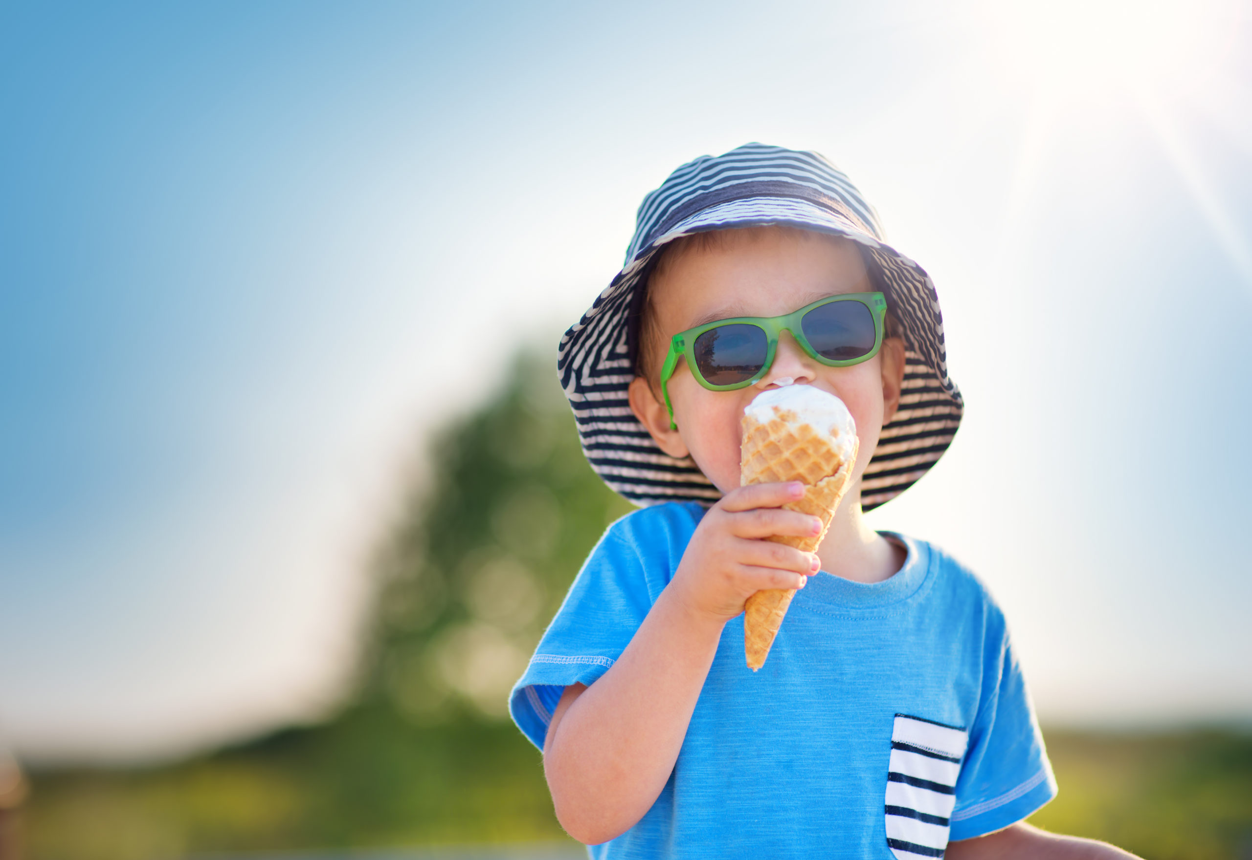 Read more about the article Family Fun: Ice Cream in a Bag